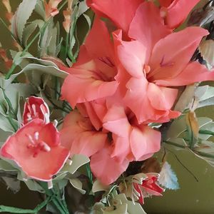 Meet your Posher, Annette